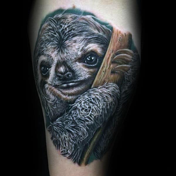 Realistic Sloth In Tree Tattoos For Guys On Arm