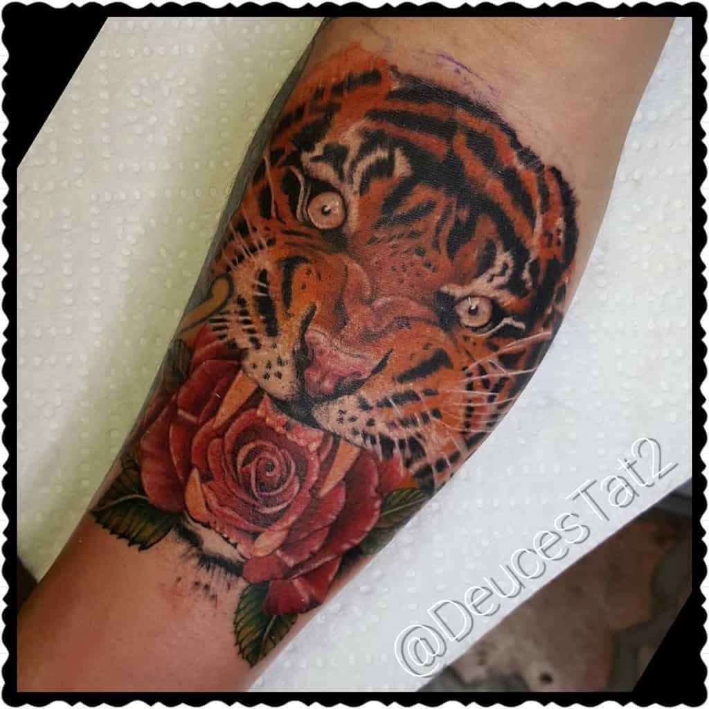 A striking tiger face accompanies a vivid red rose tattoo on the forearm