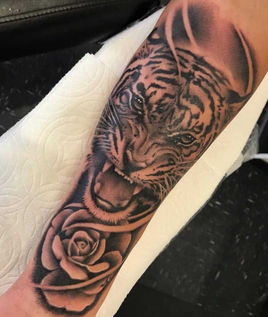 Tattoo of a roaring tiger and a rose on a forearm,