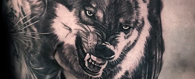 Realistic Wolf Tattoo Designs For Men