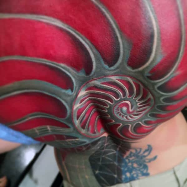 Red And Grey Mens Full Back 3d Fibonacci Spiral Tattoos