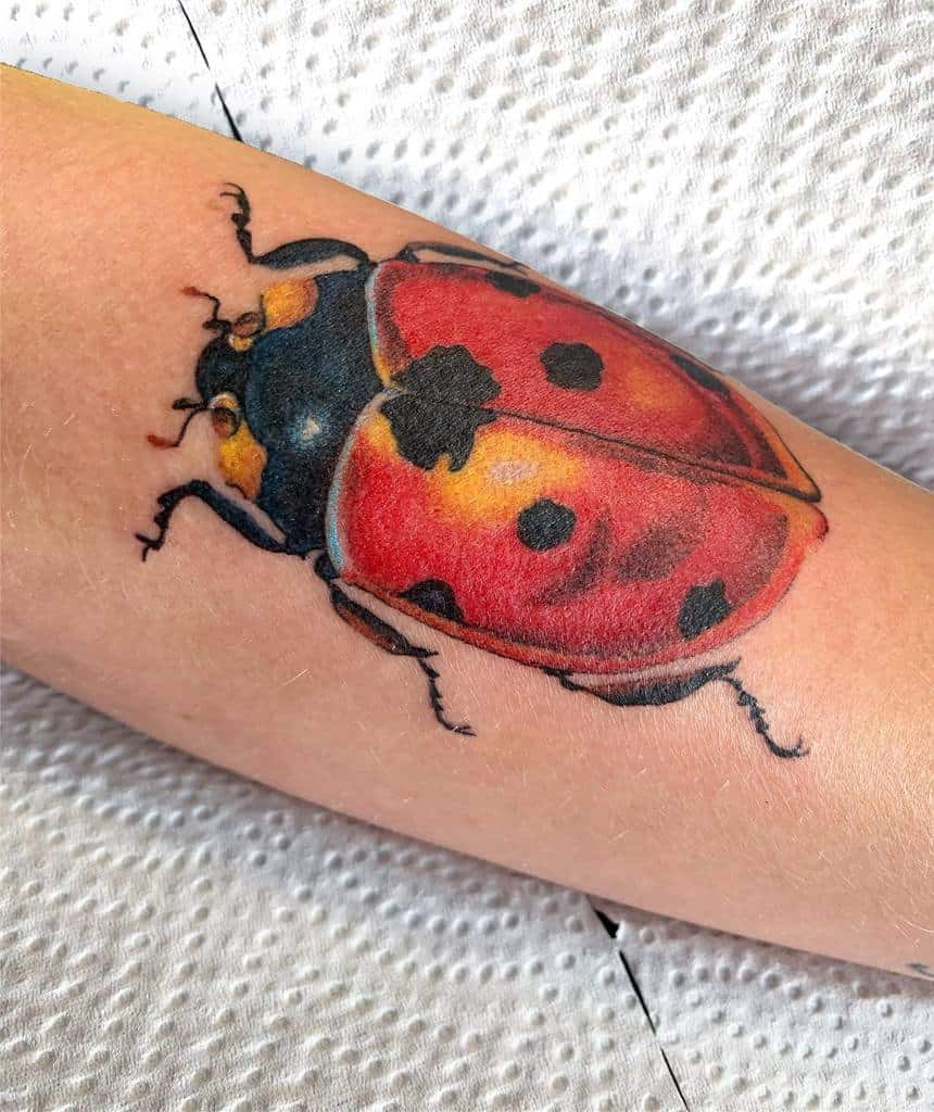Realistic ladybug tattoo with vibrant red and black detailing, intricate shading, and lifelike textures for a bold nature-inspired design.