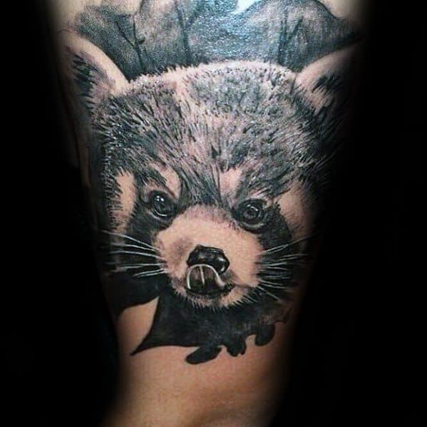 Red Panda Tattoo Design Ideas For Males On Arm