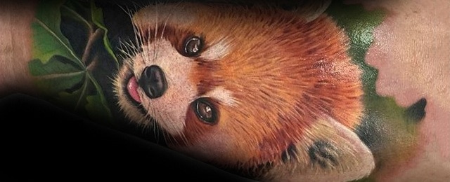 Red Panda Tattoo Designs For Men