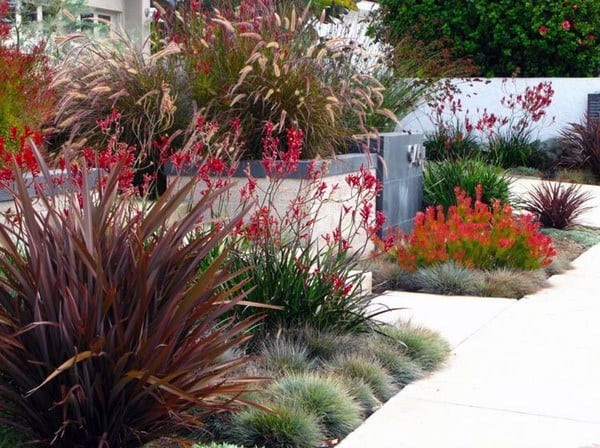 Modern garden featuring red plants, ornamental grasses, and sleek concrete pathways.