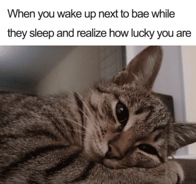 relationship-memes-11