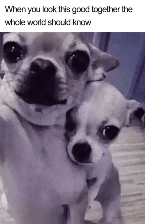 relationship-memes-25