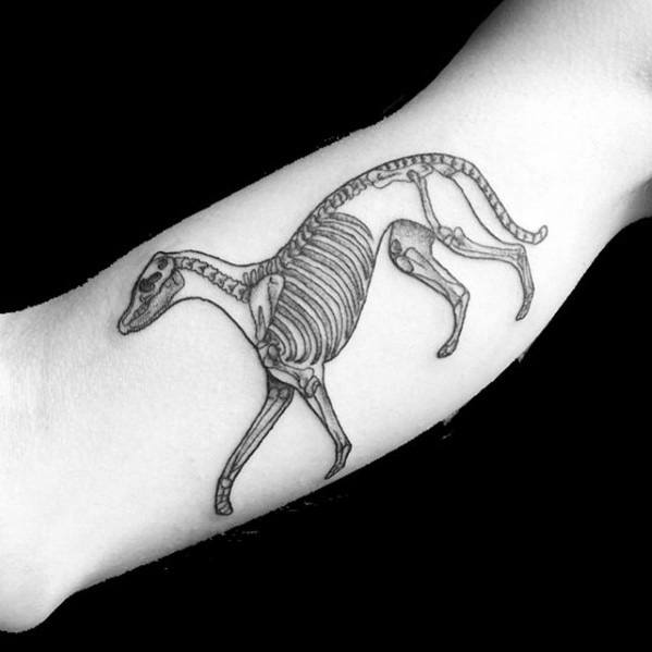 A detailed black ink tattoo of a greyhound's skeleton in motion, showcasing the dog's bones in a graceful pose with intricate line work.