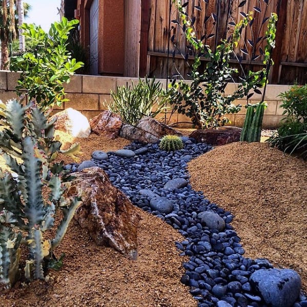 gray stone path in desert garden with succulents 