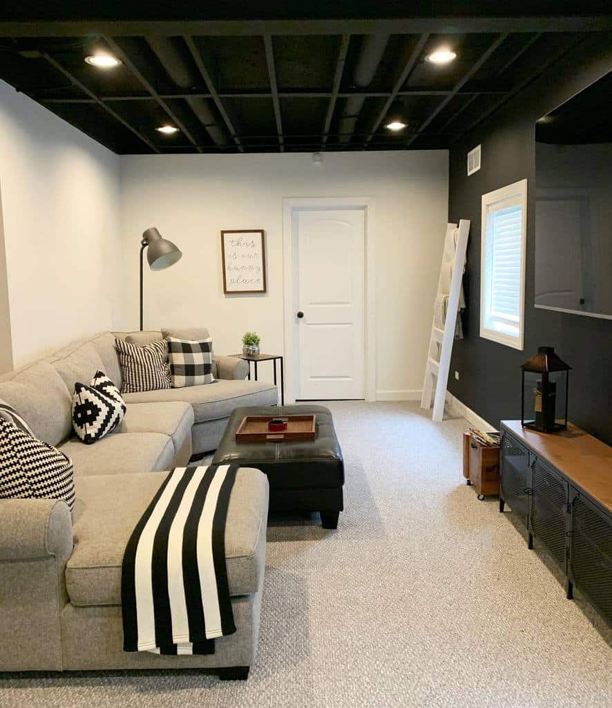 remodel small basement living space with carpet and gray sofa