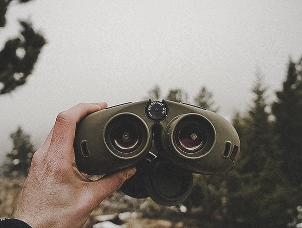 Review Steiner Military Marine 10x 50 Binoculars