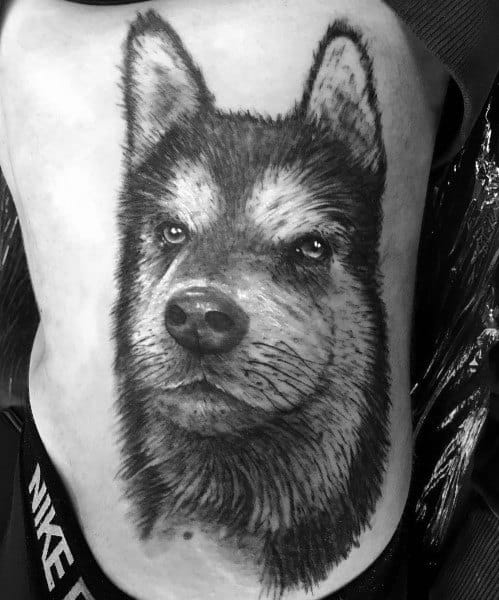 Hyper-realistic Siberian Husky tattoo on a man's ribs, featuring intricate fur details, lifelike shading, and an intense gaze for a striking design.