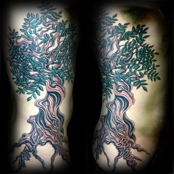 Detailed tattoo of an olive tree with green leaves and extensive roots, covering a side