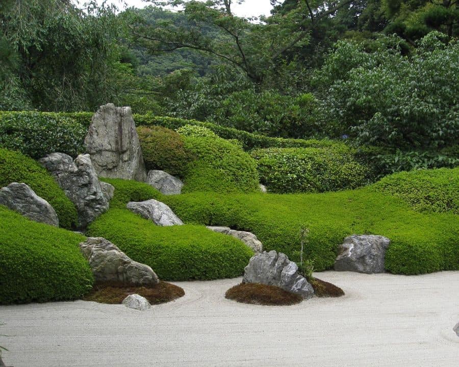 sand garden green shrubs 