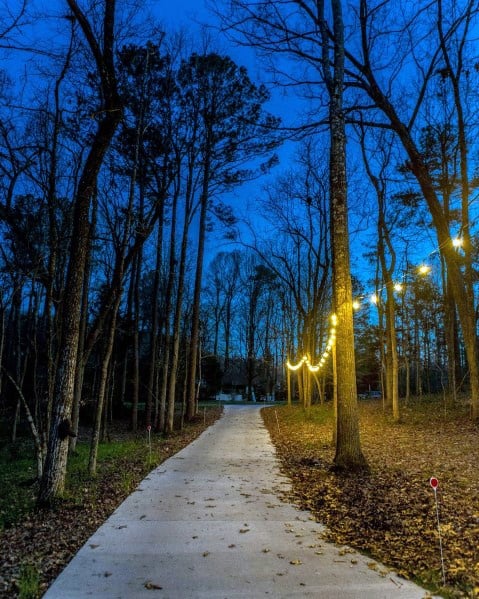 Driveway lit with warm string lights wrapped around trees, creating a charming and inviting atmosphere through the wooded path at dusk