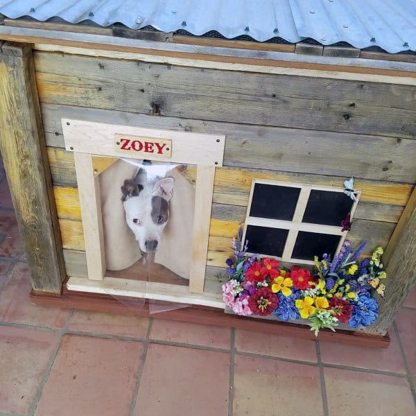 Rustic dog house with a tin metal roof, a transparent door with a photo of the dog, a small window, and vibrant flowers placed outside