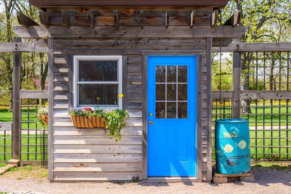 small rustic wood she shed with blue door 
