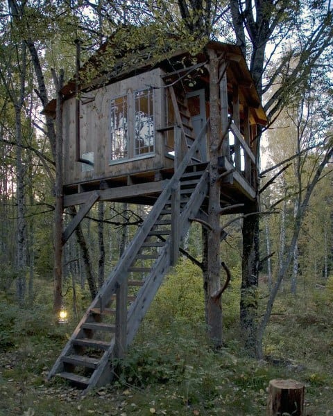 A rustic wooden treehouse nestled among tall forest trees with a ladder leading up to it