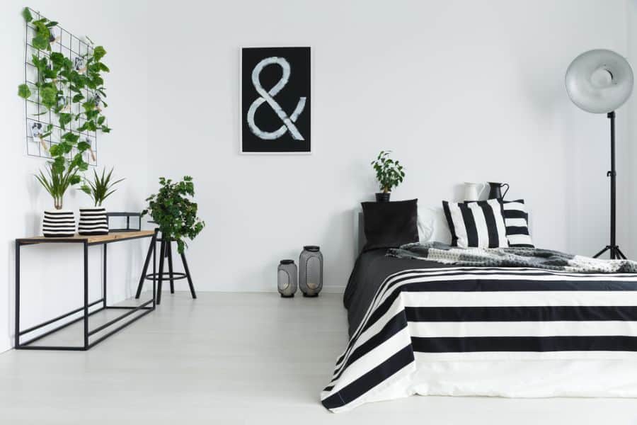 Modern bedroom with black and white striped bedding, green plants, and minimalist decor.