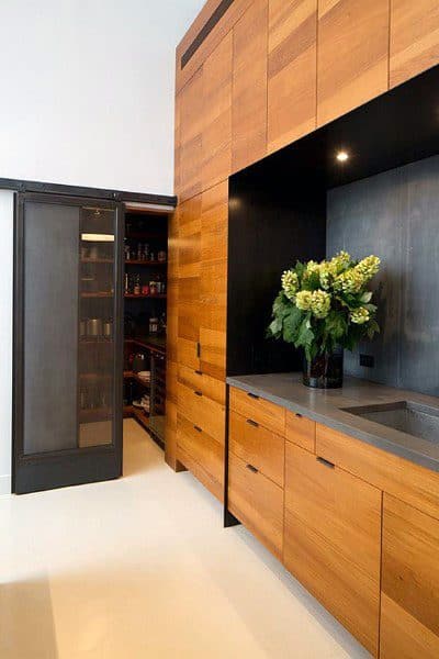 A contemporary kitchen pantry with a sliding screen door and sleek wooden cabinetry for a warm and modern look.