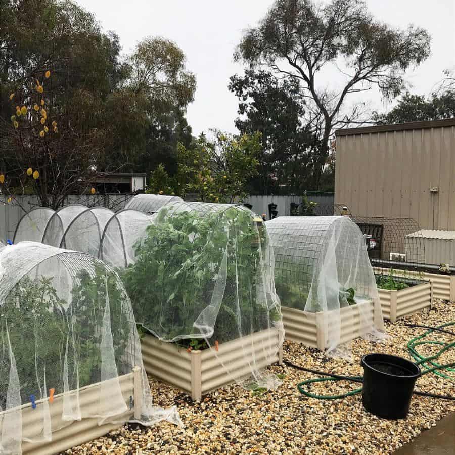 mesh covers over backyard vegetable garden