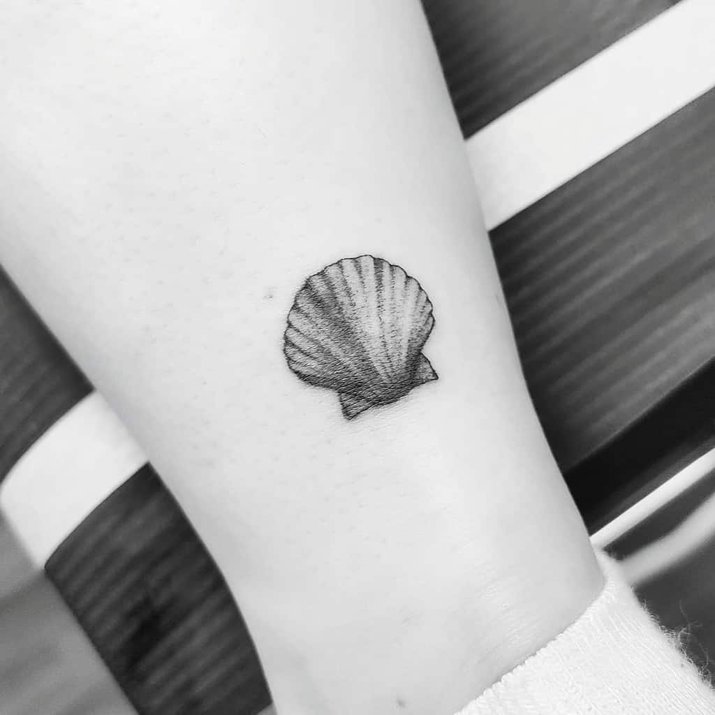 Black and white single needle tattoo of a scallop shell on the back of a person's lower leg