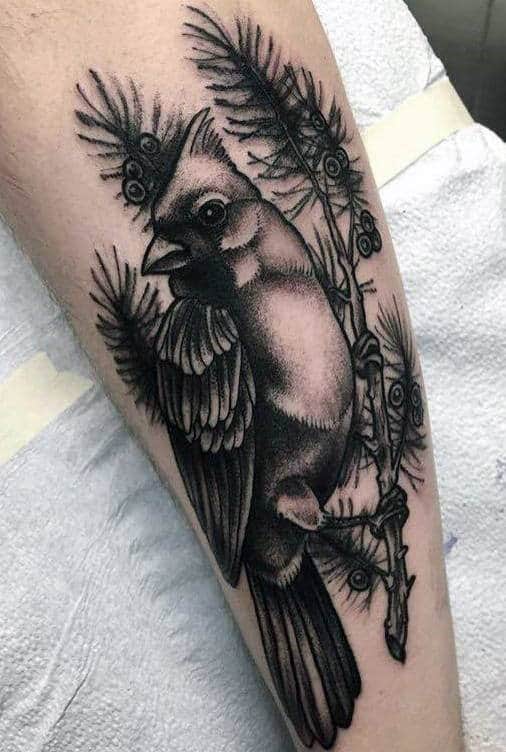 Shaded Cardinal Black And Grey Ink Guys Arm Tattoo Inspiration