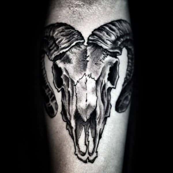Shaded Goat Skull Leg Calf Tattoo On Gentleman