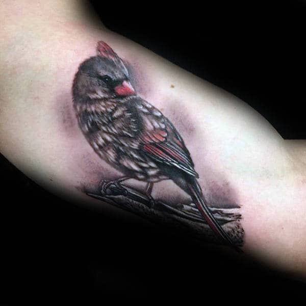 Shaded Grey Ink Cardinal Bird On Branch Male Tattoo On Arm