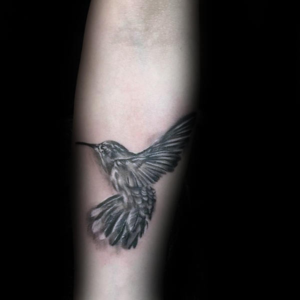 Shaded White And Grey Ink Hummingbird Forearm Tattoos On Guy