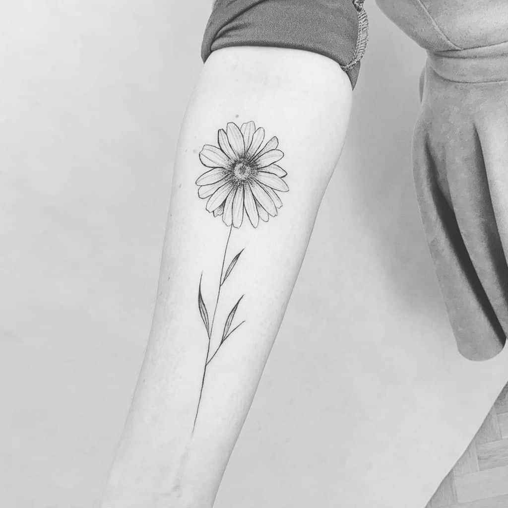 Forearm tattoo black and grey shading fine line delicate daisy
