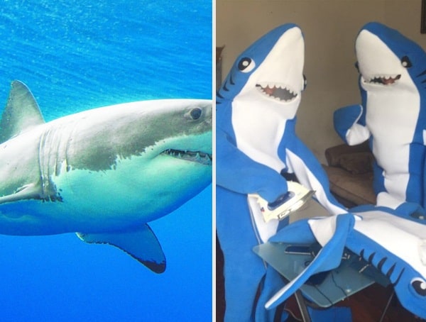 Shark Best Halloween Costumes For Men