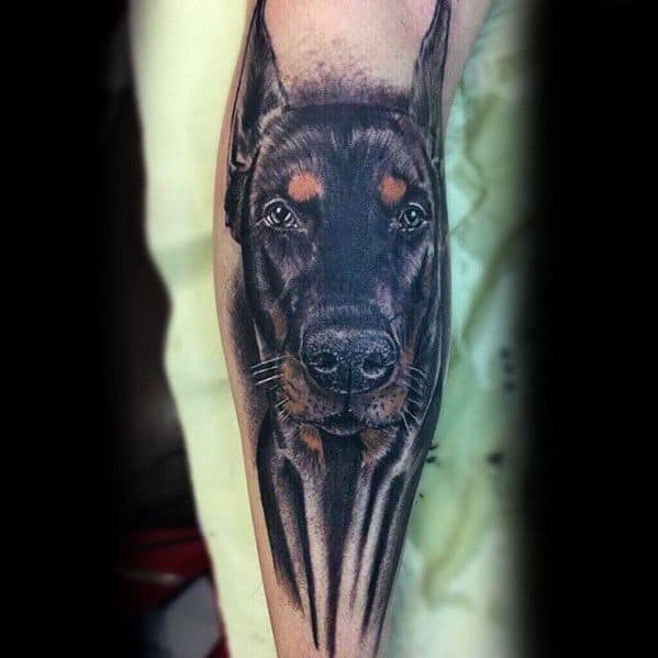 Realistic Doberman tattoo with intense gaze and elongated shading, creating a dramatic, stretched effect on the forearm.