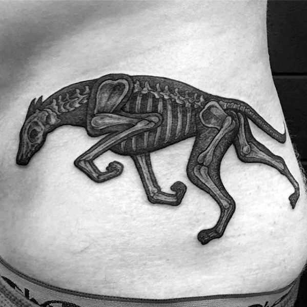 A striking black and grey tattoo of a greyhound in motion, with its skeleton clearly visible, showcasing the detailed anatomy of the dog while it runs.