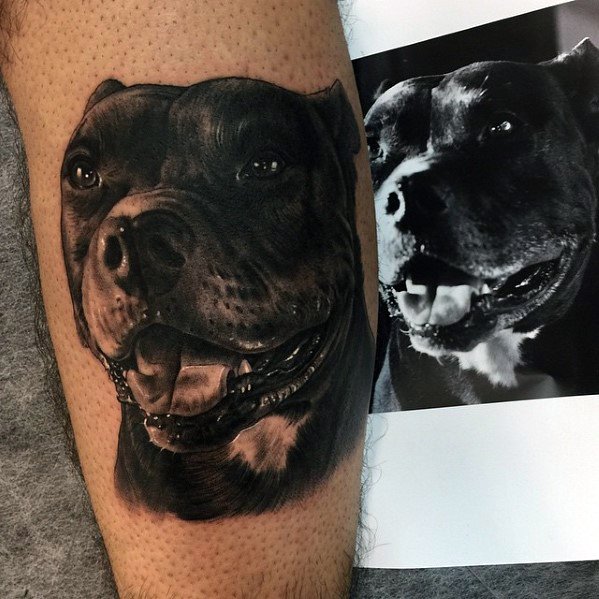 Sharp Pitbull Male Tattoo Ideas