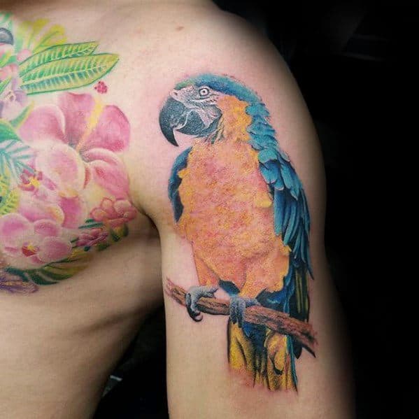 Sharp Upper Arm 3d Parrot Male Tattoo Ideas