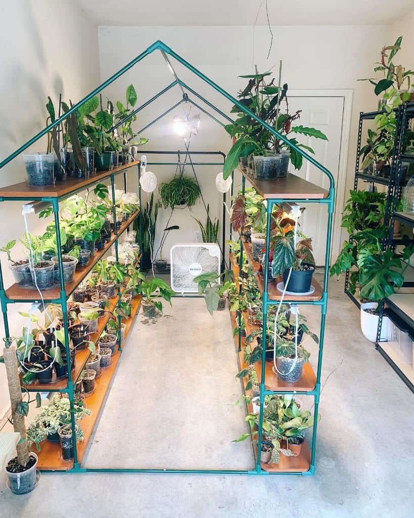 indoor greenhouse green shelving lots of plants