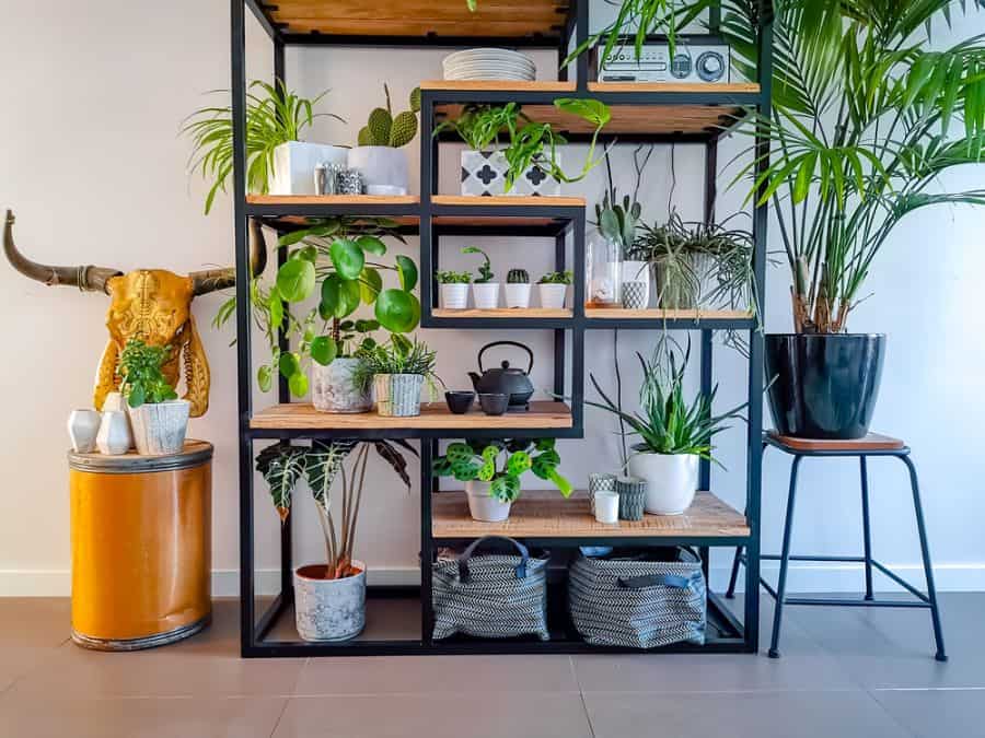 shelving stand with vertical garden