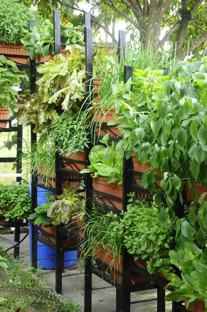 shelving and stand for vertical garden