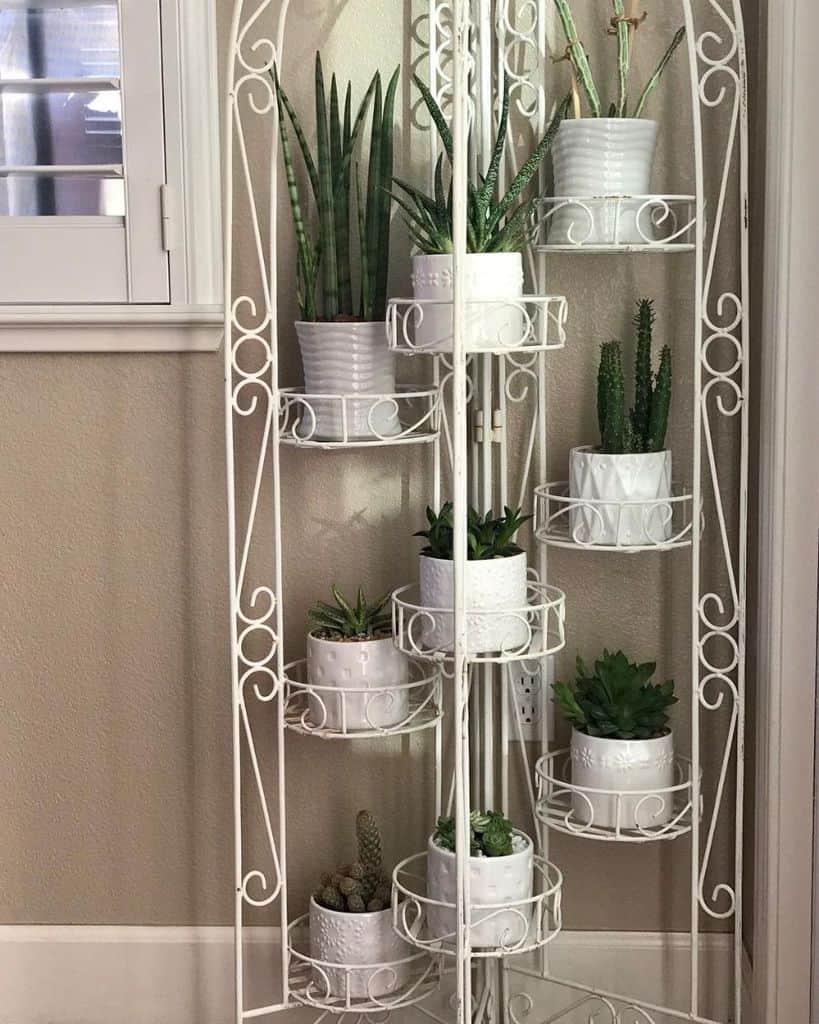 white pot plants vertical garden