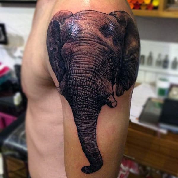 Shiny Black Elephant Tattoo With Short Tusk Tattoo Male Upper Arms