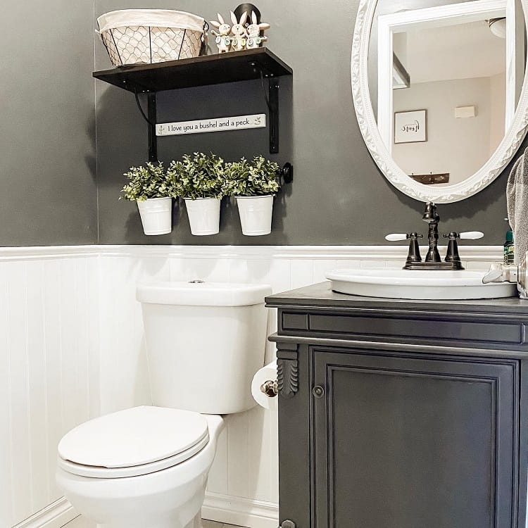 Farmhouse bathroom with dark walls, white toilet, sink, decorative plants on a shelf, and an oval mirror above the sink