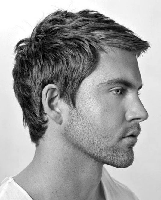 Short Haircuts For Wavy Fine Hair For Guys