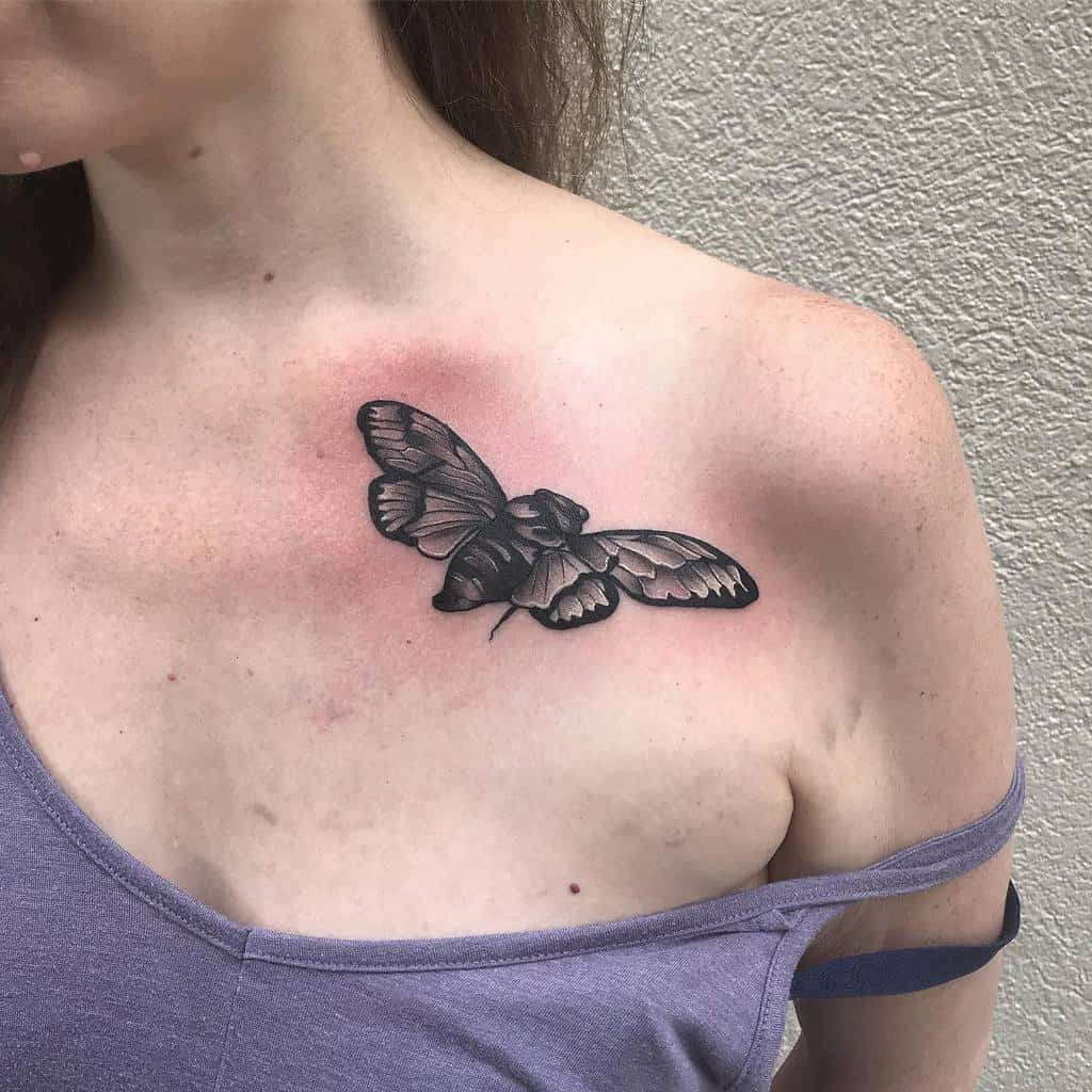 Realistic black and gray cicada tattoo on the shoulder, featuring detailed wings and soft shading for a lifelike effec