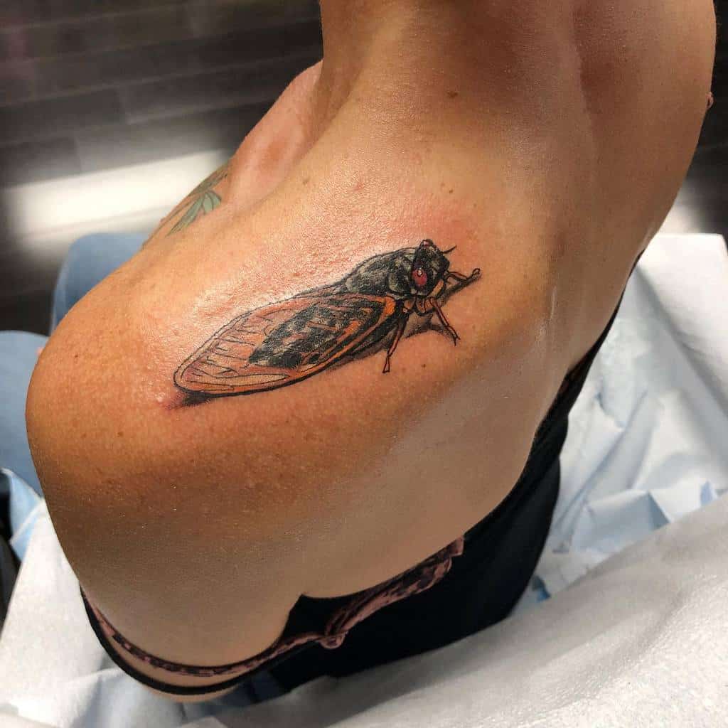 A cicada tattoo on a shoulder