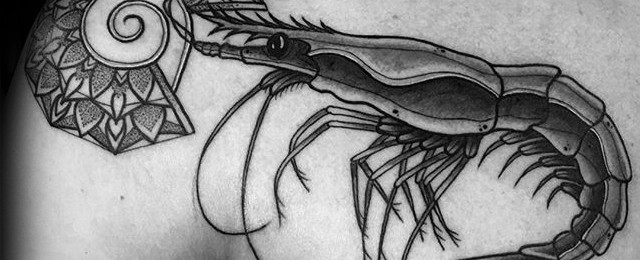 Shrimp Tattoo Designs For Men