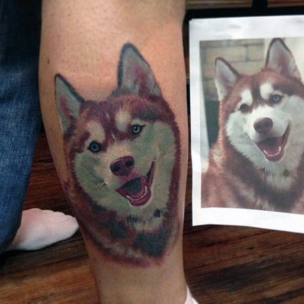 Realistic Siberian Husky tattoo on a man's leg, featuring detailed fur shading, bright blue eyes, and a happy expression based on a reference photo.