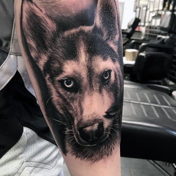 Hyper-realistic Siberian Husky tattoo on a man's arm, featuring intricate fur details, piercing blue eyes, and lifelike shading for a striking design.