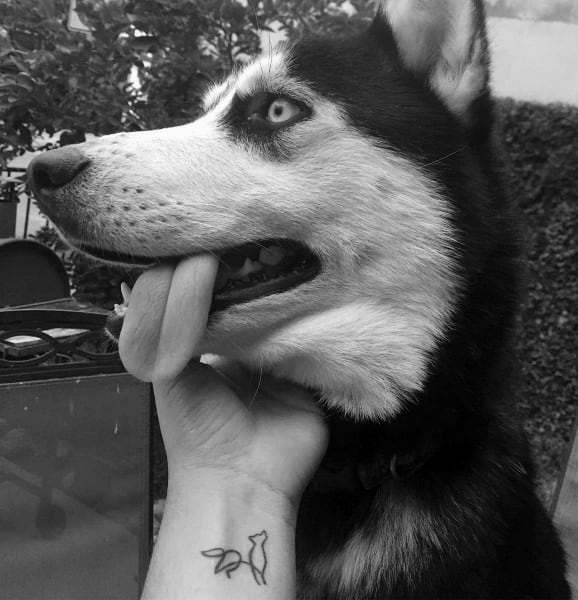 Black and white photo of a Siberian Husky with striking blue eyes, playfully licking a person's hand, which features a small tattoo.