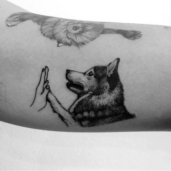 Minimalist Siberian Husky tattoo on a man's arm, featuring a detailed dog giving a high-five to a human hand, symbolizing a strong bond.
